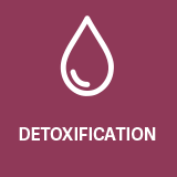 Emotional and Spiritual Healing