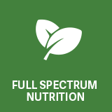 Emotional and Spiritual Healing